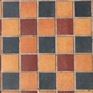 Meet your Posher, Shane